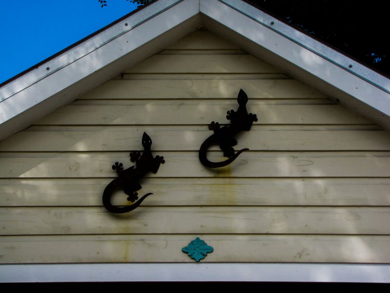 Shiplap Wall Installation